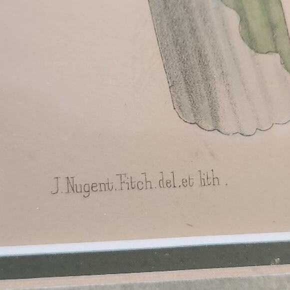 Antique J NUGENT LITHOGRAPH PRINT - Picture 2 of 5